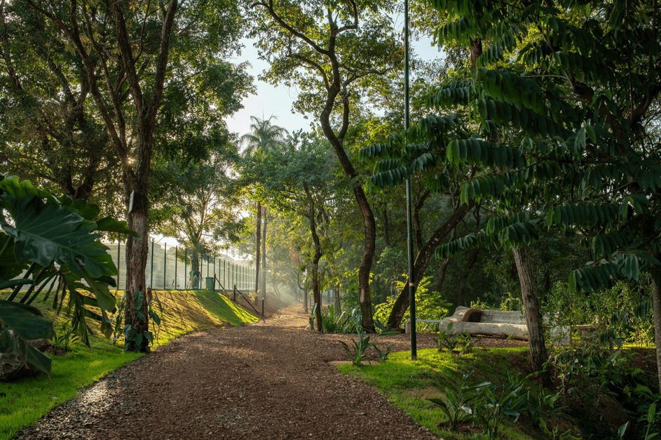 Itaminas lidera nova agenda de sustentabilidade e transforma Sarzedo em modelo de desenvolvimento