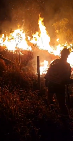 Incêndio atinge área de vegetação em Poços de Caldas