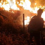 Incêndio atinge área de vegetação em Poços de Caldas