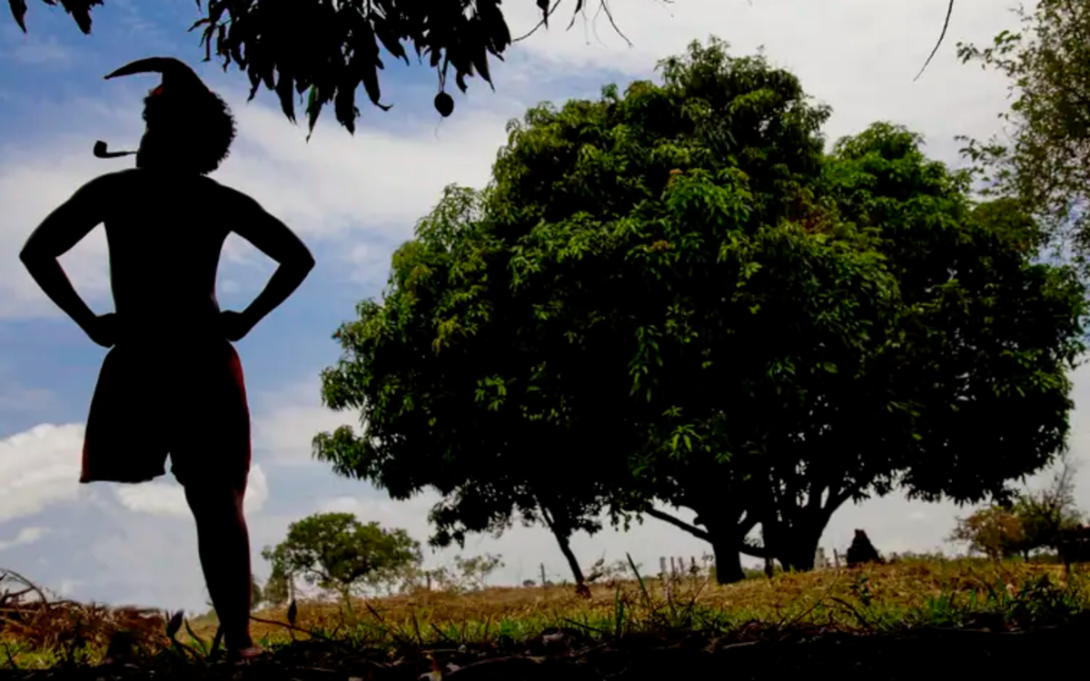 Dia do Folclore: saiba o motivo da data celebrada nesta sexta-feira (22)