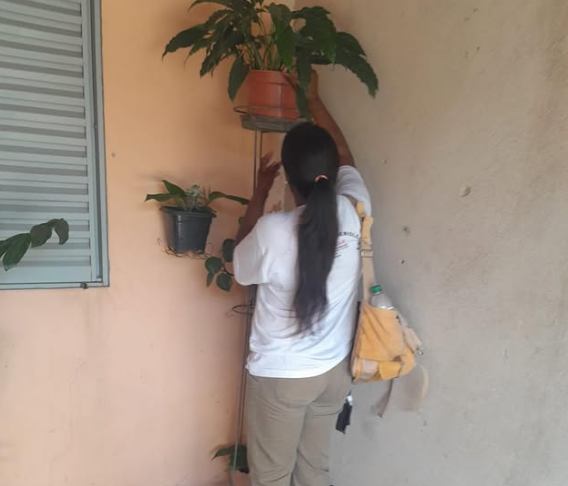 Jardim Estrela recebe ação da Vigilância Ambiental neste sábado