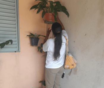 Agentes também vão fornecer orientações.