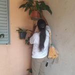 Jardim Estrela recebe ação da Vigilância Ambiental neste sábado
