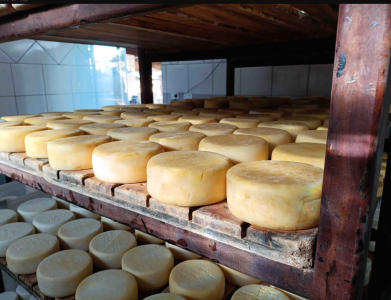 Queijo Minas Artesanal foi reconhecido como Patrimônio Cultural Imaterial da Humanidade