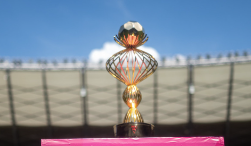 Taça do Campeonato Mineiro Feminino