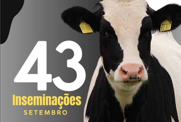 Machado oferece inseminação artificial gratuita para produtores rurais