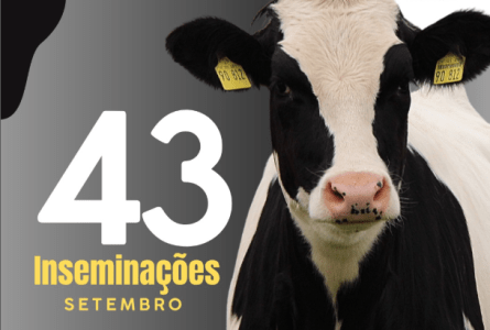 Programa da Secretaria de Agricultura visa impulsionar produção de leite e aumentar a renda de pequenos e médios produtores.