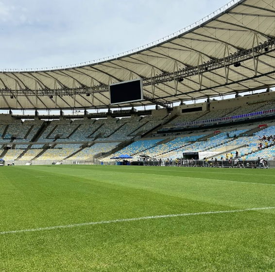 Horário e onde assistir ao vivo Flamengo x Palmeiras, pelo Brasileirão