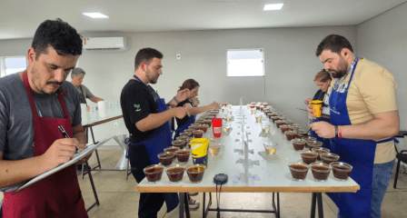 A região das Matas de Minas lidera o ranking, com 172 amostras, seguida pelo Sul de Minas, com 57.