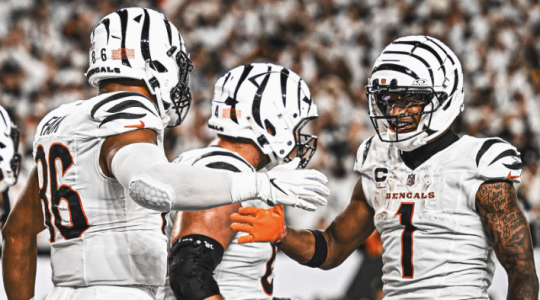 Bengals