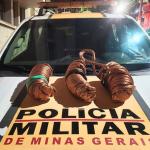 Polícia Militar Rodoviária prende cinco homens com 46 quilos de cobre na BR-356