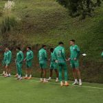 Palmeiras visita LDU em busca de largar em vantagem na semi da Libertadores