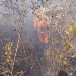 Incêndio é controlado em área de preservação em Poços de Caldas