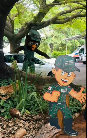 Polícia Militar de Meio Ambiente promove ação comunitária em Itabirito no dia 1º de novembro