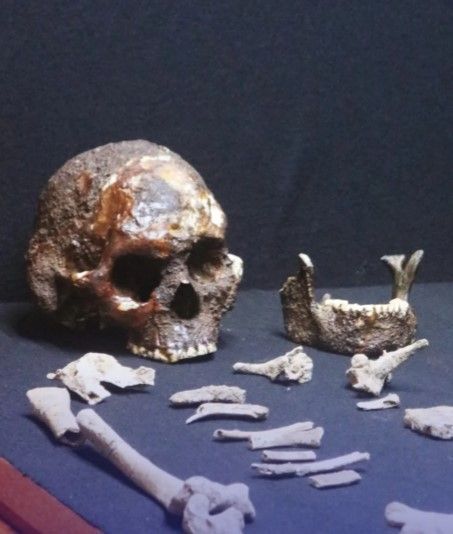 UFOP e USP iniciam nova fase de estudos sobre fóssil “Homem de Lagoa Santa”