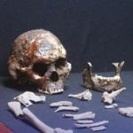 UFOP e USP iniciam nova fase de estudos sobre fóssil “Homem de Lagoa Santa”