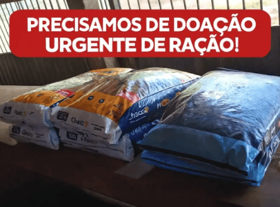 Ração, medicamentos e apoio financeiro são as principais necessidades do abrigo neste fim de ano.