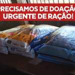 Sítio Maria José Semionato promove ações de fim de ano e recebe doações de ração