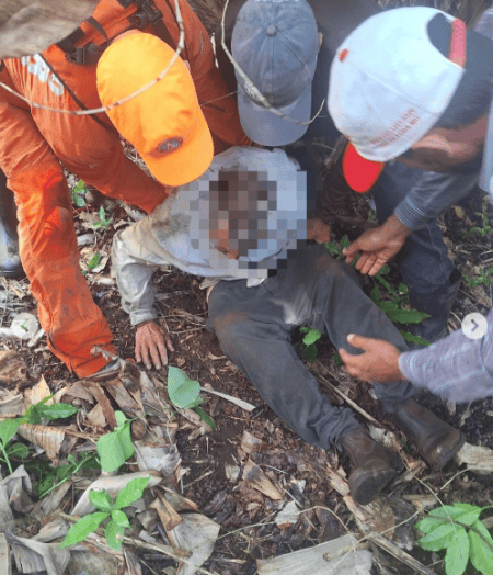 Os bombeiros reforçam que, em casos de desaparecimento em matas, o serviço de emergência pelo um-nove-três deve ser acionado o mais rápido possível.