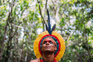 indigena