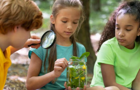 educação ambiental