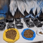 Cerca de R$ 100 mil em skunk, conhecido como 'super maconha', apreendidos em Ipatinga