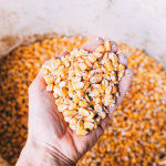 Indústria de insumos agrícolas registra recordes de importações e exportações em 2025
