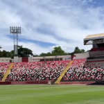 Horário e onde assistir ao vivo Botafogo-SP x Palmeiras, pelo Paulistão