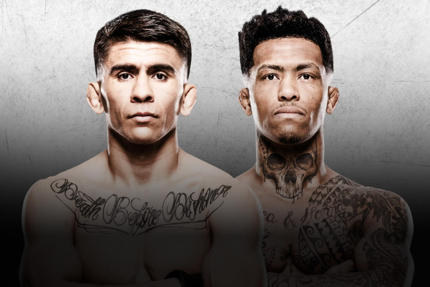 UFC Vegas 113: confira o card completo do evento que conta com ‘legião’ brasileira
