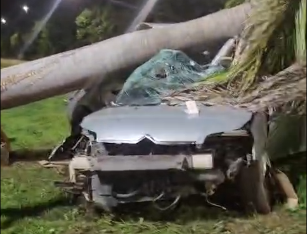 Carro sai da pista na BR 381 em Ipatinga e motorista morre após choque violento contra árvore