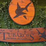 Fernando de Noronha: veja atrações culturais e de conscientização, além das praias