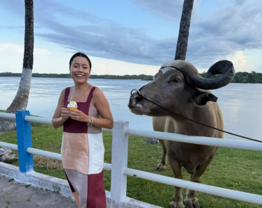 A importação de búfalos ocorreu em 1895, e os animais se adaptaram perfeitamente ao ambiente amazônico