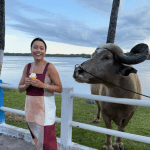Ilha do Marajó e sua cultura milenar de búfalos, queijos e cerâmica ancestral
