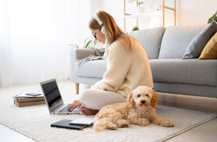 Home office com cachorro