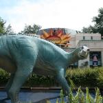 Disney encerra área do Animal Kingdom após 28 anos; entenda
