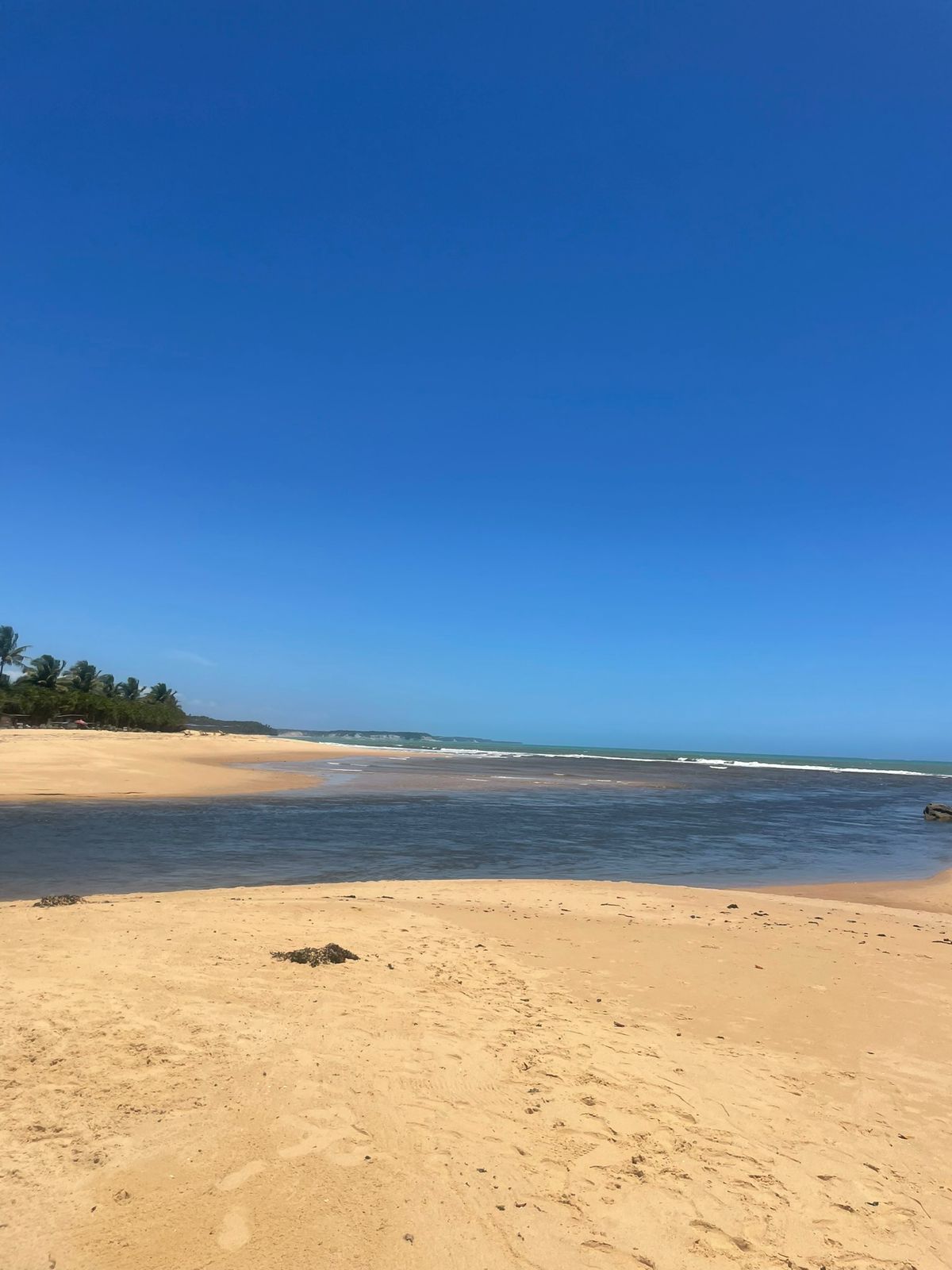 Natal e Réveillon: Nordeste do Brasil terá chuva acima da média; veja a previsão do tempo