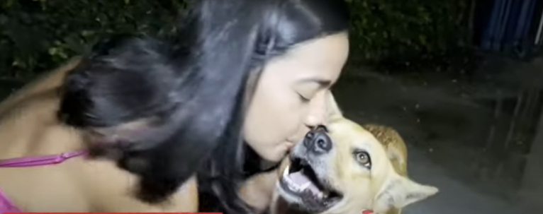 Novo ataque de Pitbull: dona salva vira-lata 'caramelo' após mordida em Salvador