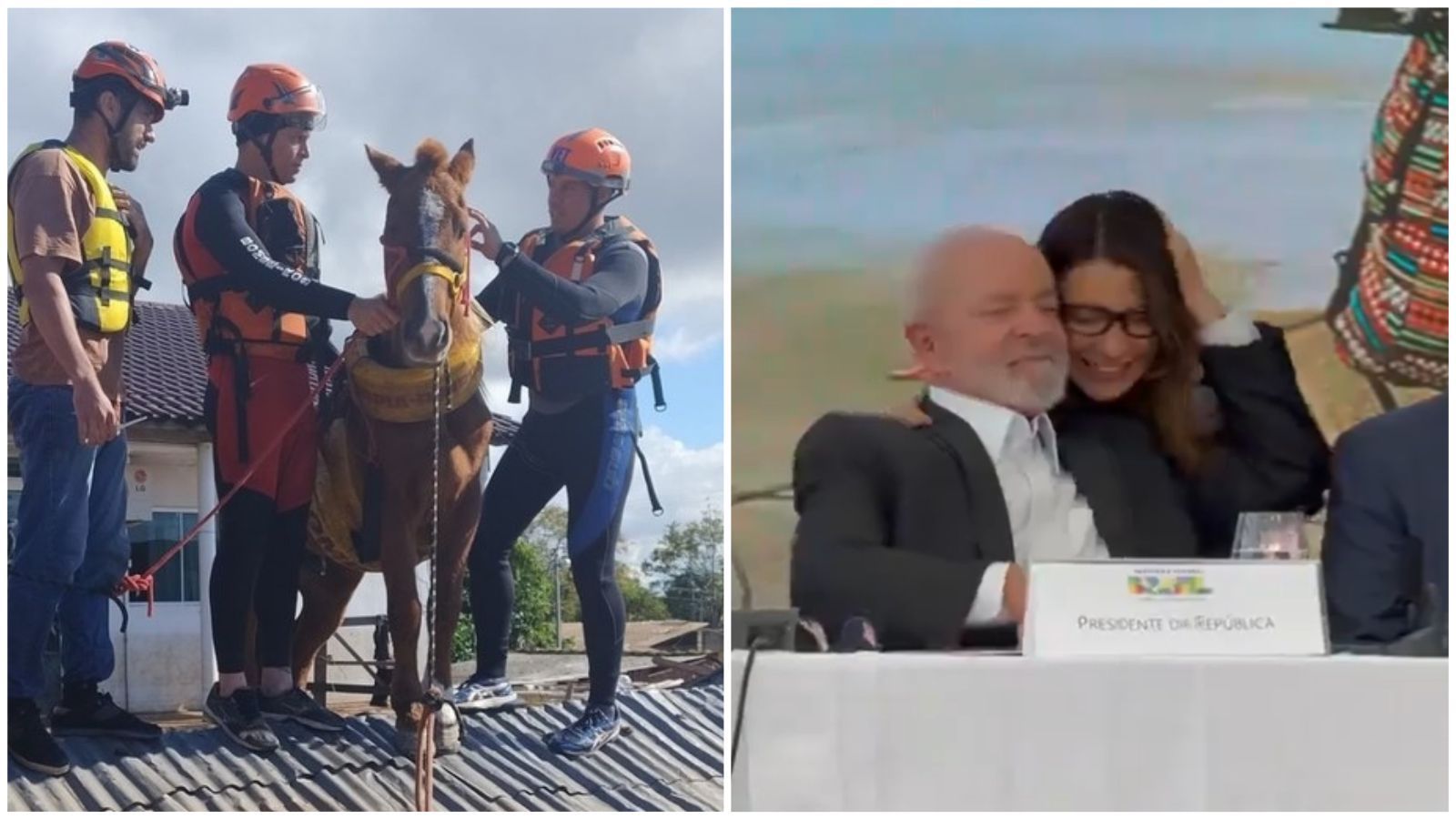 'Caramelo': Janja chora e Lula pede 'descanso' a cavalo resgatado em telhado no RS