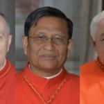 Conclave: saiba o que pensam os cardeais favoritos para substituir o Papa Francisco sobre temas polêmicos