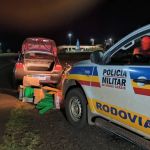 PM apreende carga com 40 kg de maconha e anabolizantes no Triângulo Mineiro