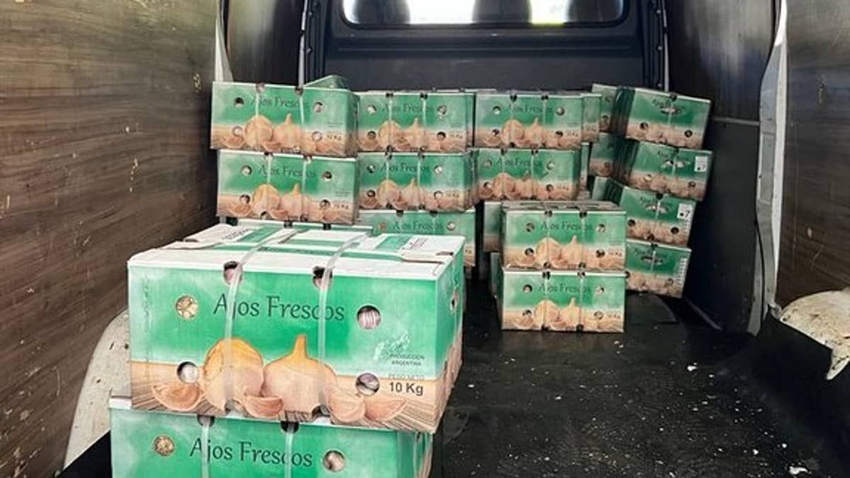 Carreta com 25 toneladas de alho importado da Argentina é apreendida na fronteira do Brasil com Paraguai   