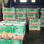 Carreta com 25 toneladas de alho importado da Argentina é apreendida na fronteira do Brasil com Paraguai   