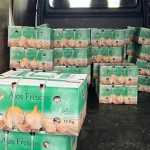 Carreta com 25 toneladas de alho importado da Argentina é apreendida na fronteira do Brasil com Paraguai