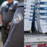 Roubo milionário: quadrilha rouba carga de 25 toneladas de bacalhau em São Paulo