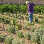 Incra divulga comissão de concurso público que terá 742 vagas 