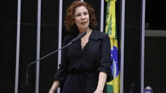 Nas últimas eleições nacionais, em 2022, Zambelli foi reeleita deputada federal por São Paulo com mais de 946 mil votos