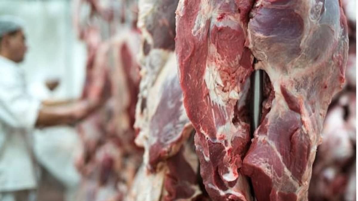 Exportação de carne bovina do Brasil dispara em junho e acumula alta de 27% no primeiro semestre
