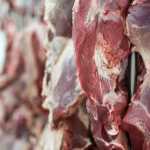 Exportação de carne bovina do Brasil dispara em junho e acumula alta de 27% no primeiro semestre
