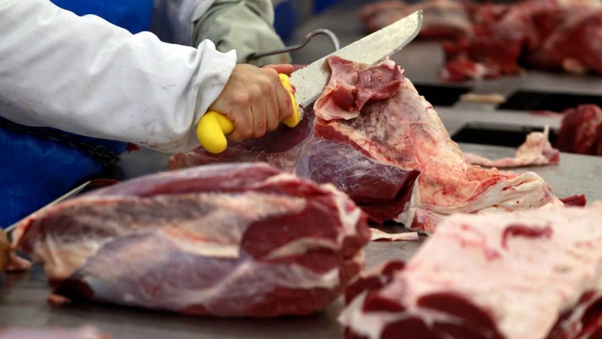 Carne vencida lidera lista de multas aplicadas contra açougues de MG