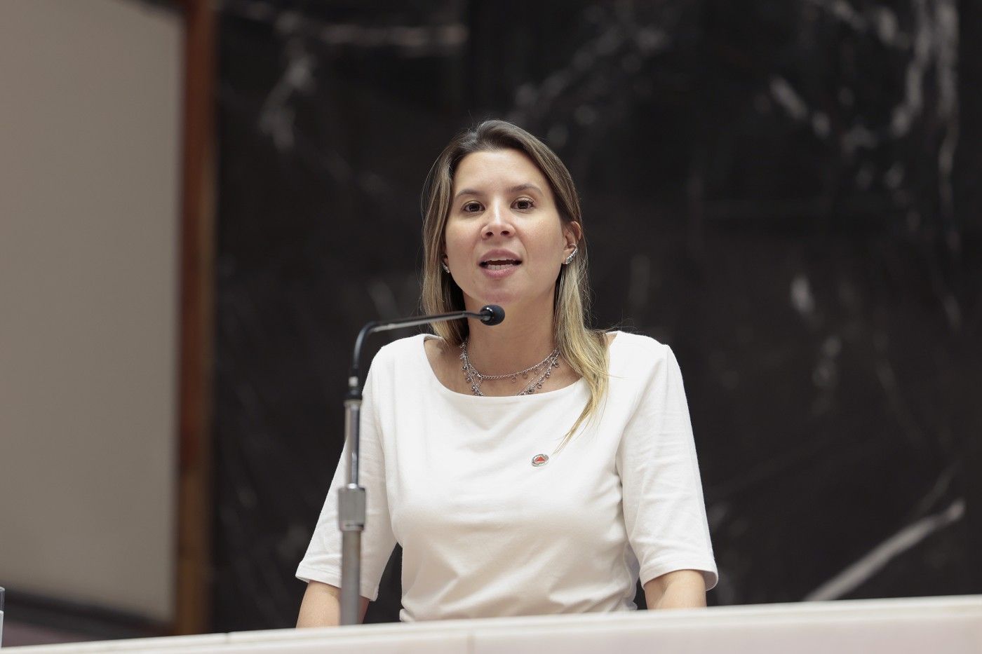 1ª deputada estadual do partido de Cury ainda não recebeu recursos de campanha